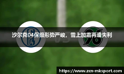 沙尔克04保级形势严峻，雪上加霜再遭失利