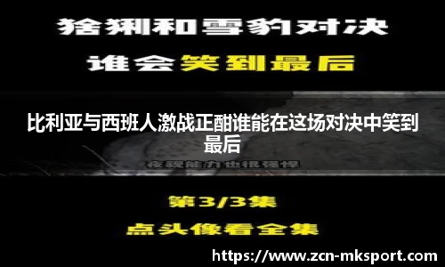 MK体育